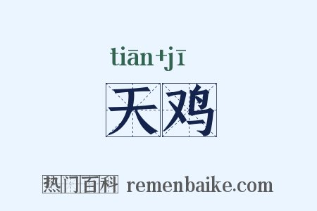 天鸡是什么意思的图片